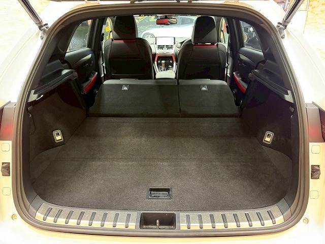 レクサス&nbsp;NXの画像19