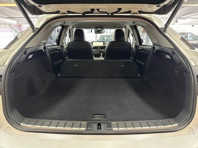 レクサス&nbsp;RXの画像20