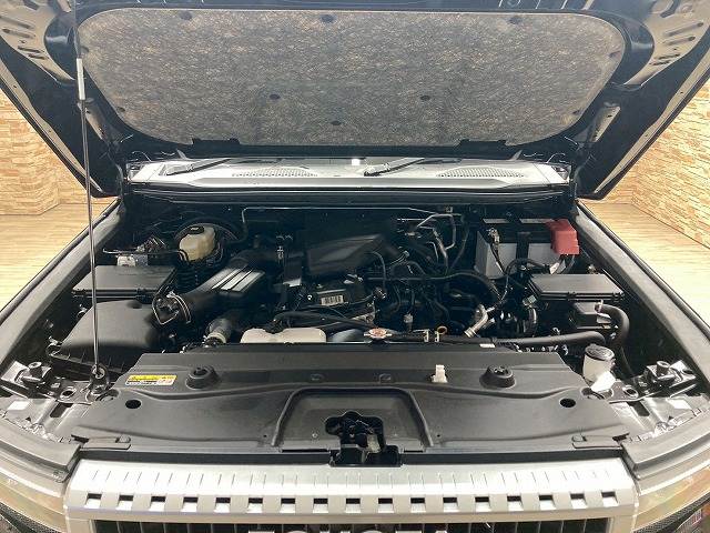 トヨタ&nbsp;ランドクルーザー250の画像18