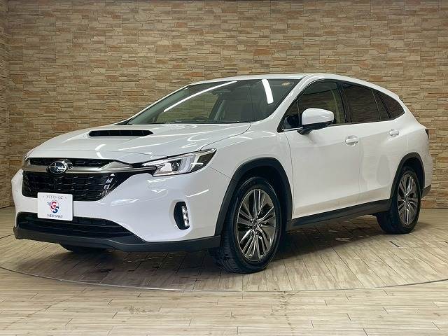 スバル&nbsp;レヴォーグ レイバックの画像14