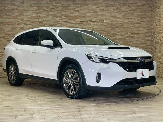 スバル&nbsp;レヴォーグ レイバックの画像15