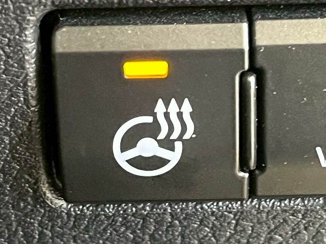 レクサス&nbsp;NXの画像11