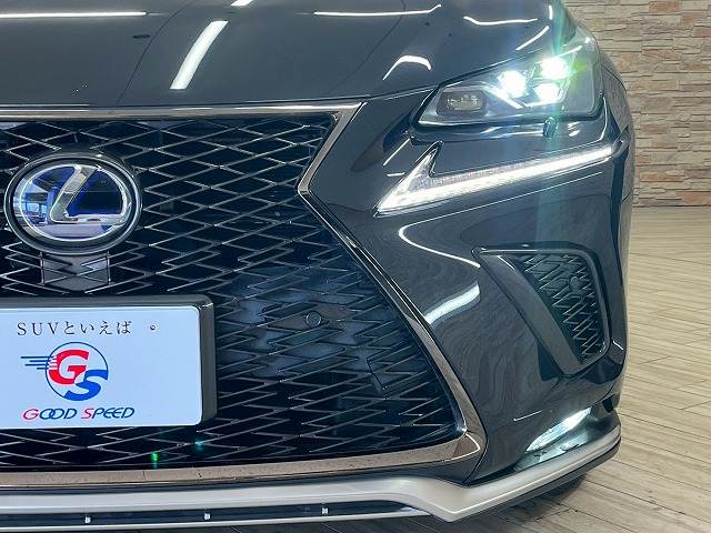 レクサス&nbsp;NXの画像20