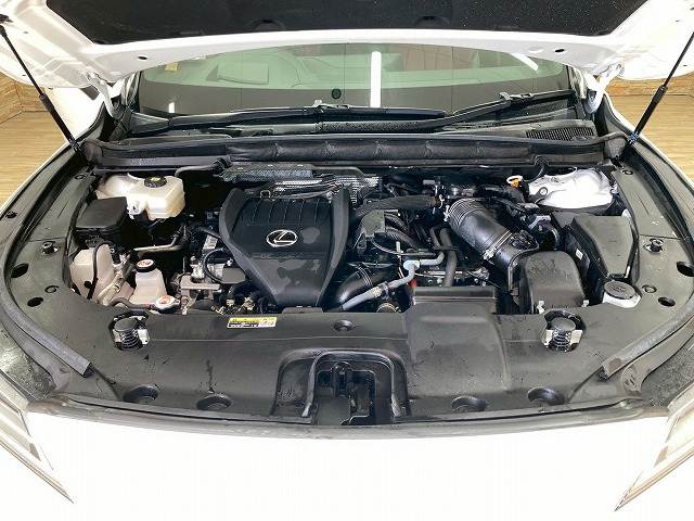 レクサス RXの画像18