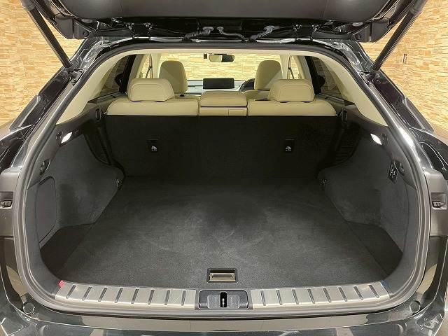 レクサス&nbsp;RXの画像13