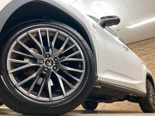 レクサス&nbsp;RXの画像19