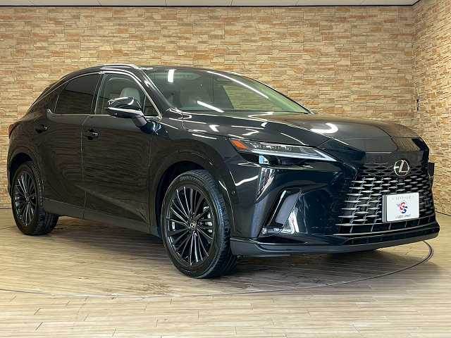 レクサス&nbsp;RXの画像15
