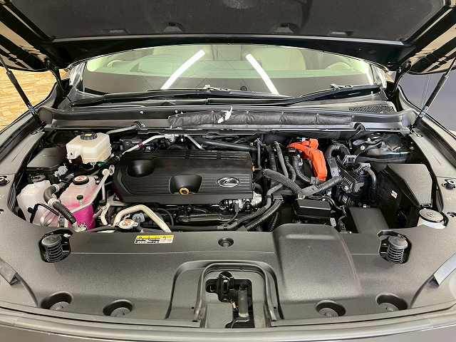 レクサス&nbsp;RXの画像18