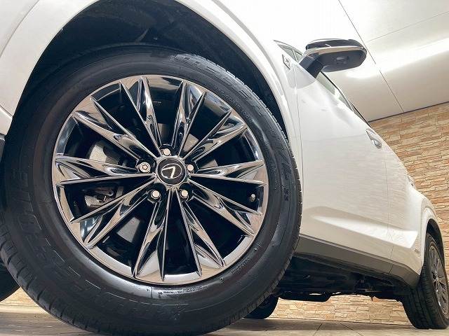 レクサス&nbsp;NXの画像19