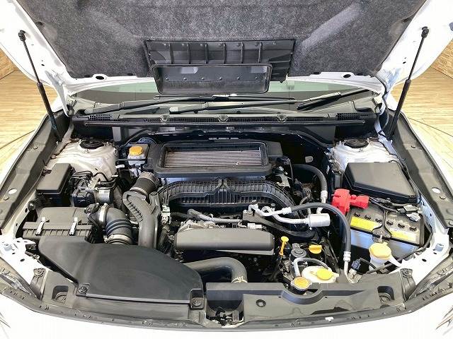 スバル&nbsp;レヴォーグ レイバックの画像18