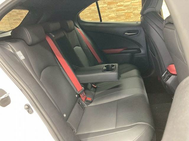 UX□UX250h“F SPORT Emotional Explorer” 内装他