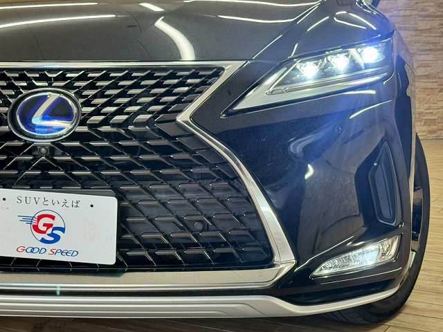 レクサス&nbsp;RXの画像20