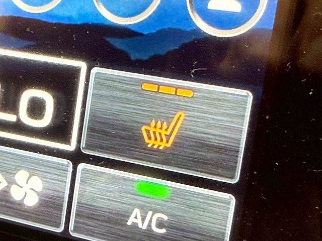 スバル レヴォーグ レイバックの画像9