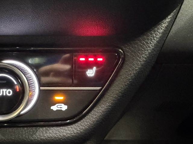 ホンダ ZR-Vの画像9