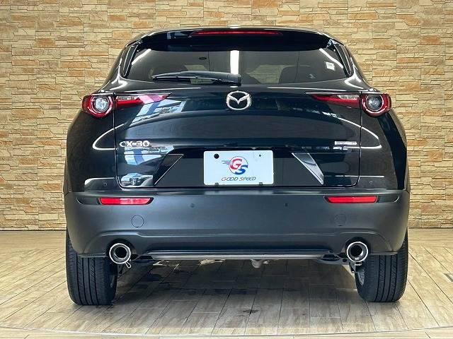 マツダ CX-30の画像16