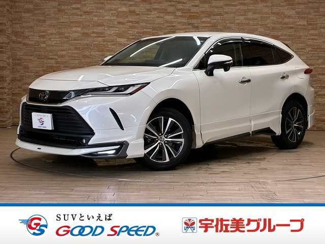 トヨタハリアーG 外観