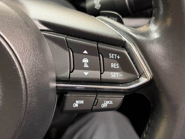 CX-3XD L Package 内装他