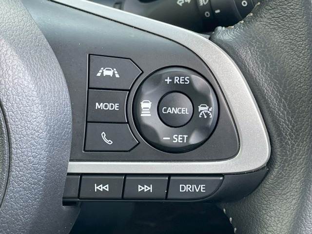 ライズZ 内装他