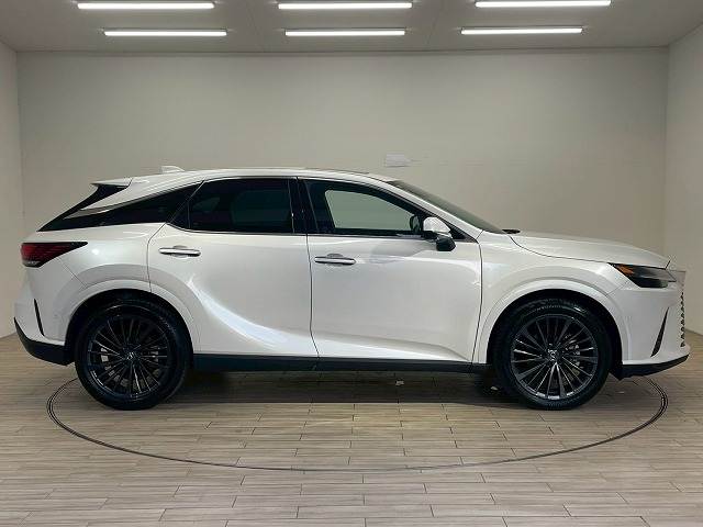 レクサス RXの画像17