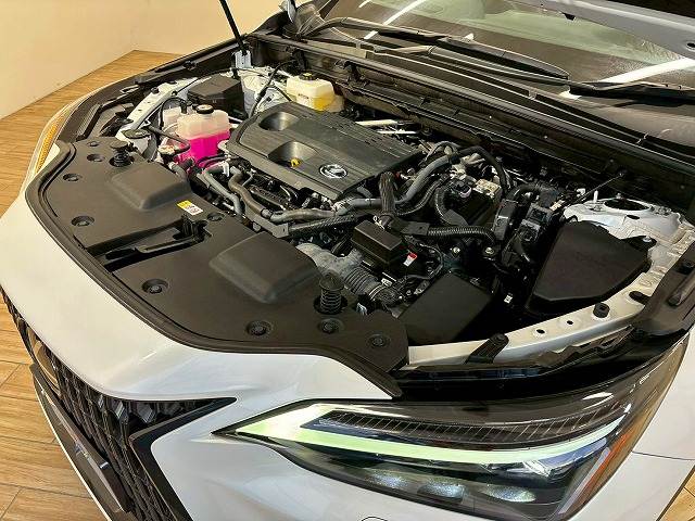 レクサス NXの画像20