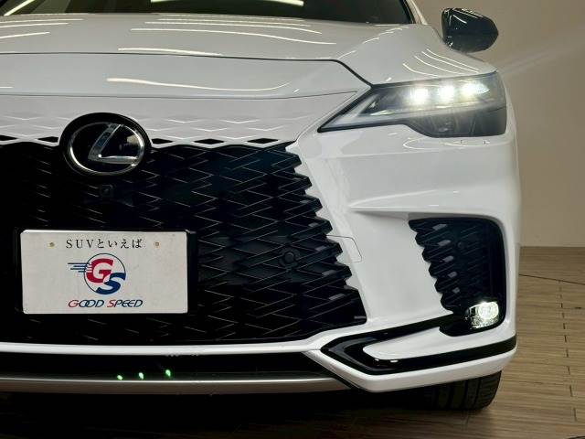 レクサス RXの画像20