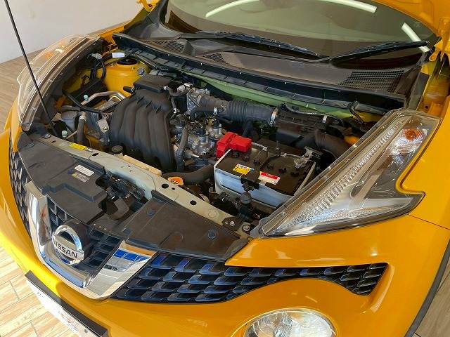 日産 ジュークの画像20