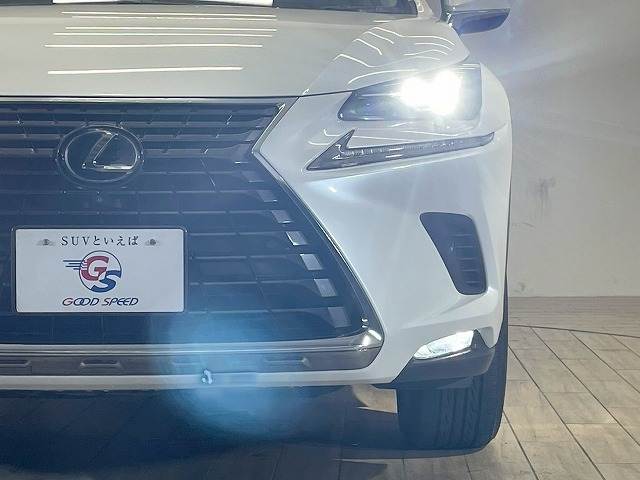 レクサス NXの画像18