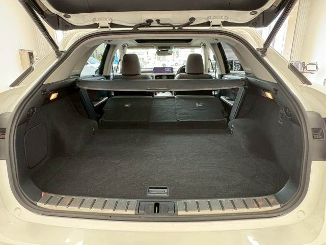 レクサス RXの画像13