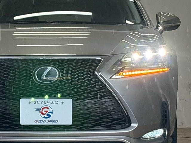 レクサス&nbsp;NXの画像19