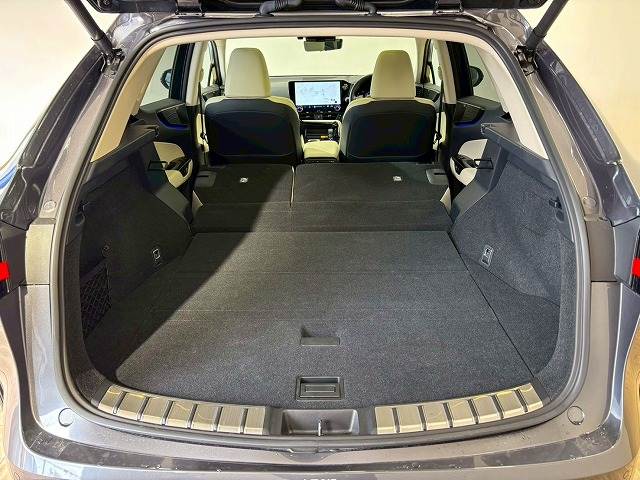 レクサス NXの画像14