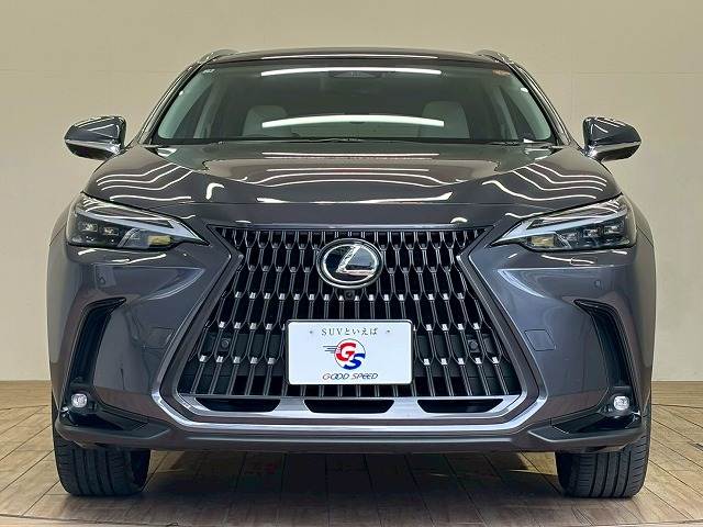 レクサス NXの画像15