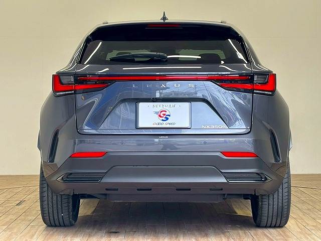 レクサス NXの画像17