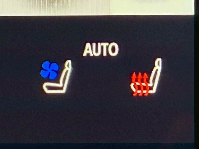 トヨタ&nbsp;アルファードハイブリッドの画像9