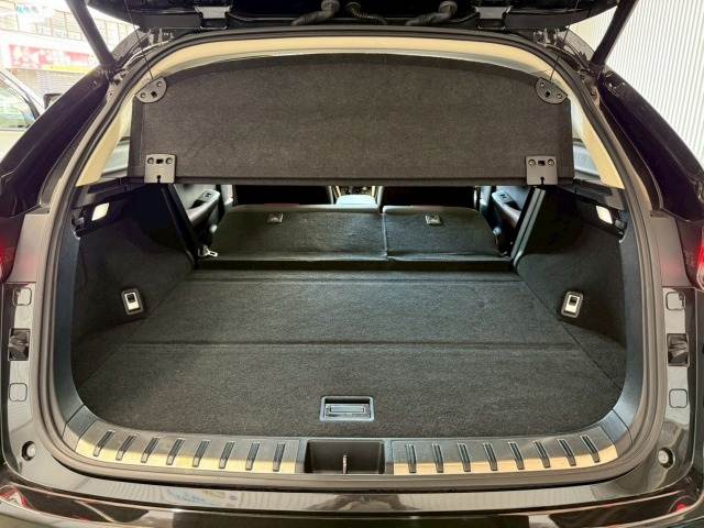 レクサス&nbsp;NXの画像13