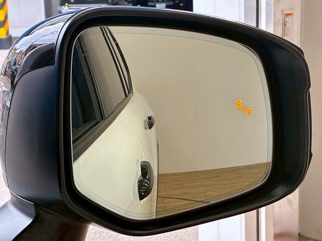 トヨタ&nbsp;ランドクルーザー300系の画像8