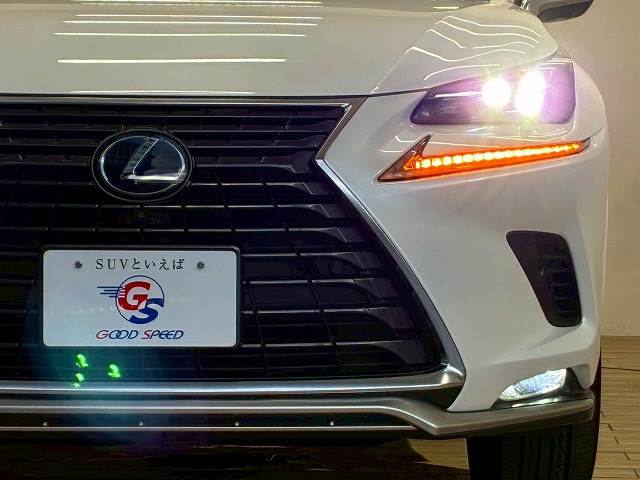 レクサス&nbsp;NXの画像19