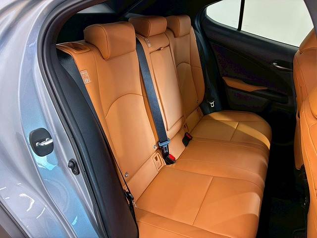 レクサス&nbsp;UXの画像11