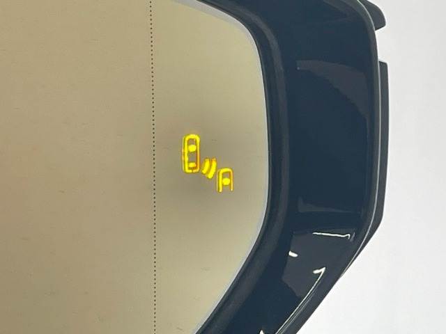 UXUX250h“version L” 内装他