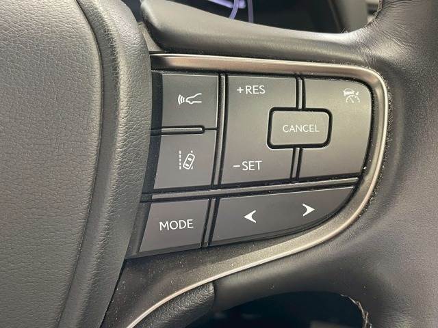 UXUX250h“version L” 内装他