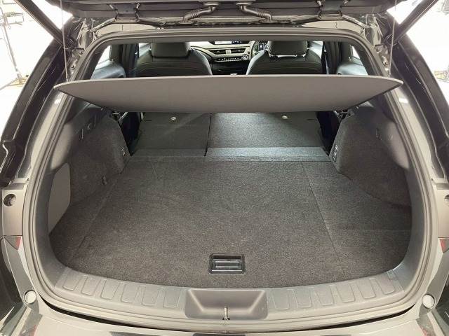 レクサス&nbsp;UXの画像13