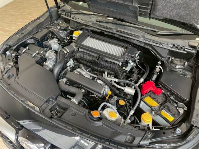 スバル&nbsp;レヴォーグ レイバックの画像20