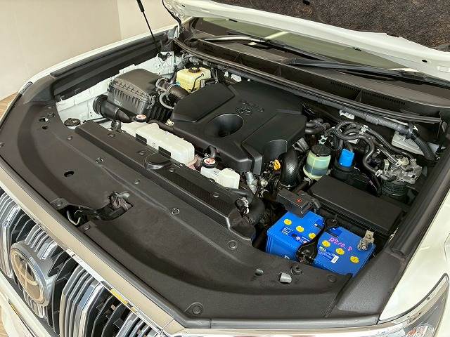 トヨタ&nbsp;ランドクルーザープラドの画像20