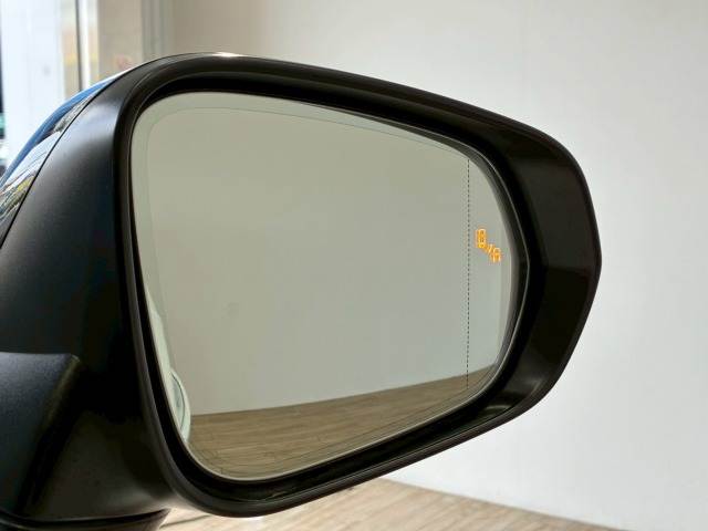 NX□NX300h ブラックシークエンス 内装他