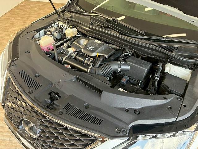 レクサス RXの画像20