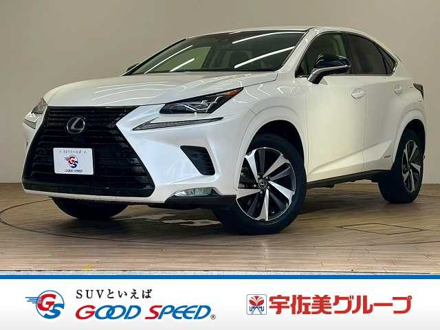 レクサスNXNX300h ブラックシークエンス 外観