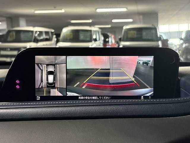 CX-3020S 内装他