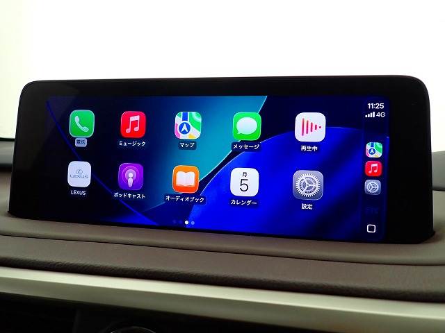 RXRX300 “version L” 内装他